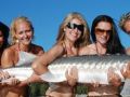 sturgeon